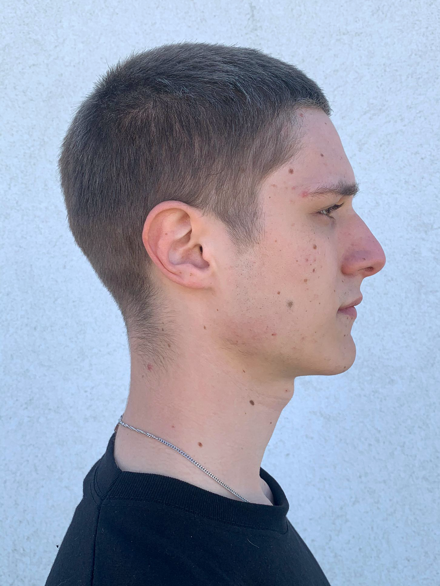 Image of Daniele van Reusel