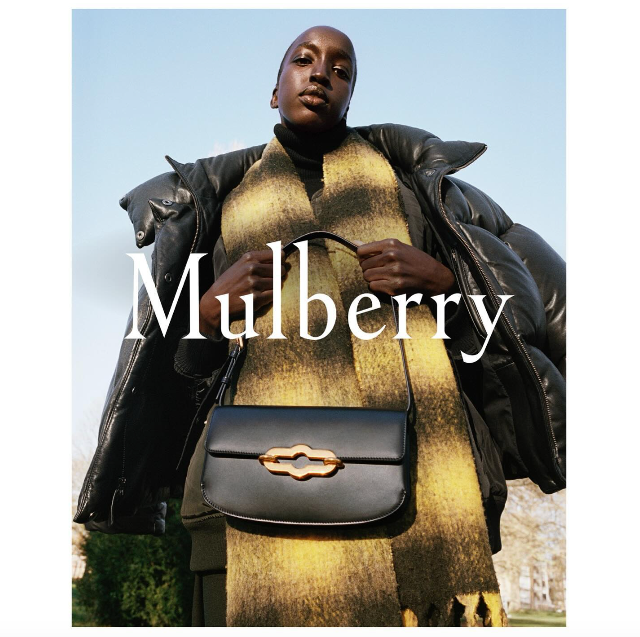 Image of Natalie Shafii