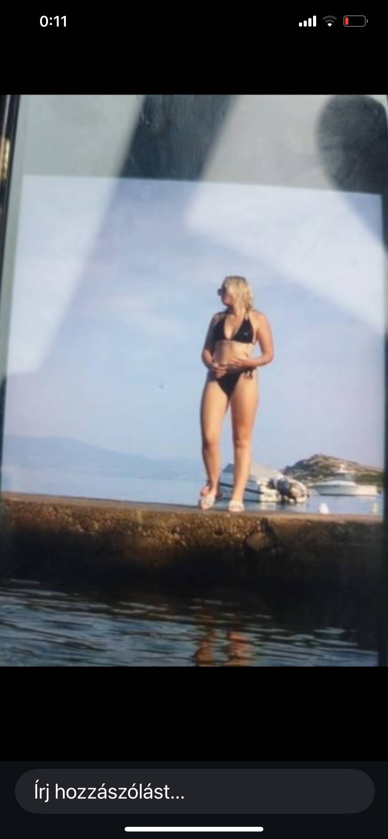 Image of carina wild