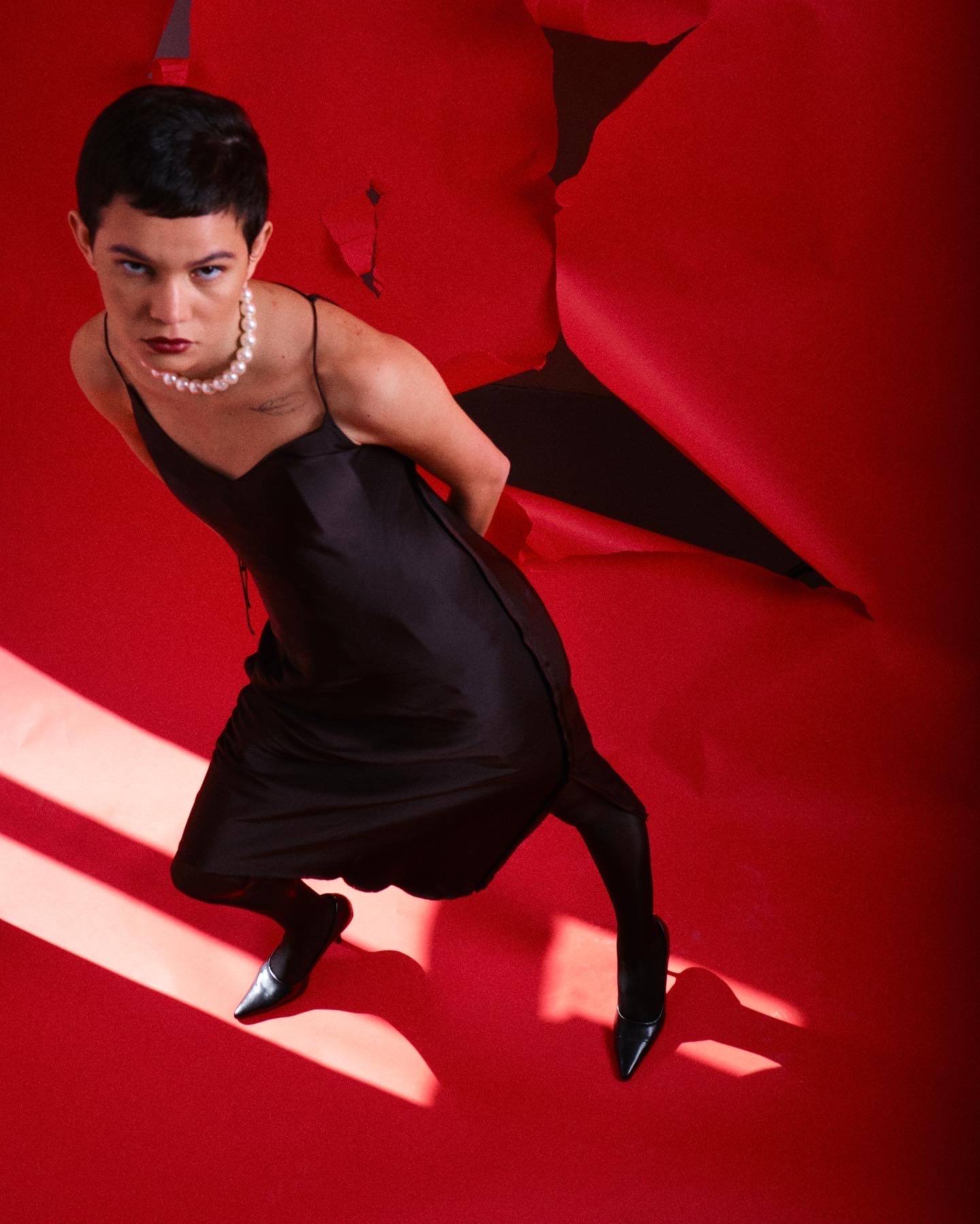 Image of Nicholas D Celano