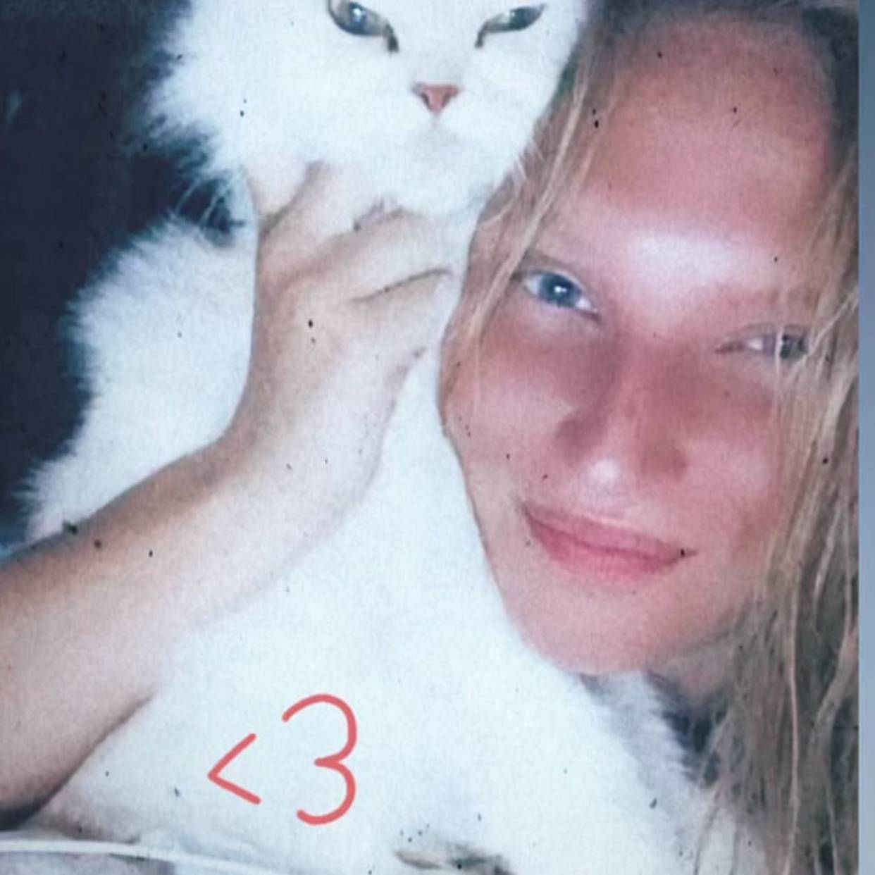 Image of carina wild