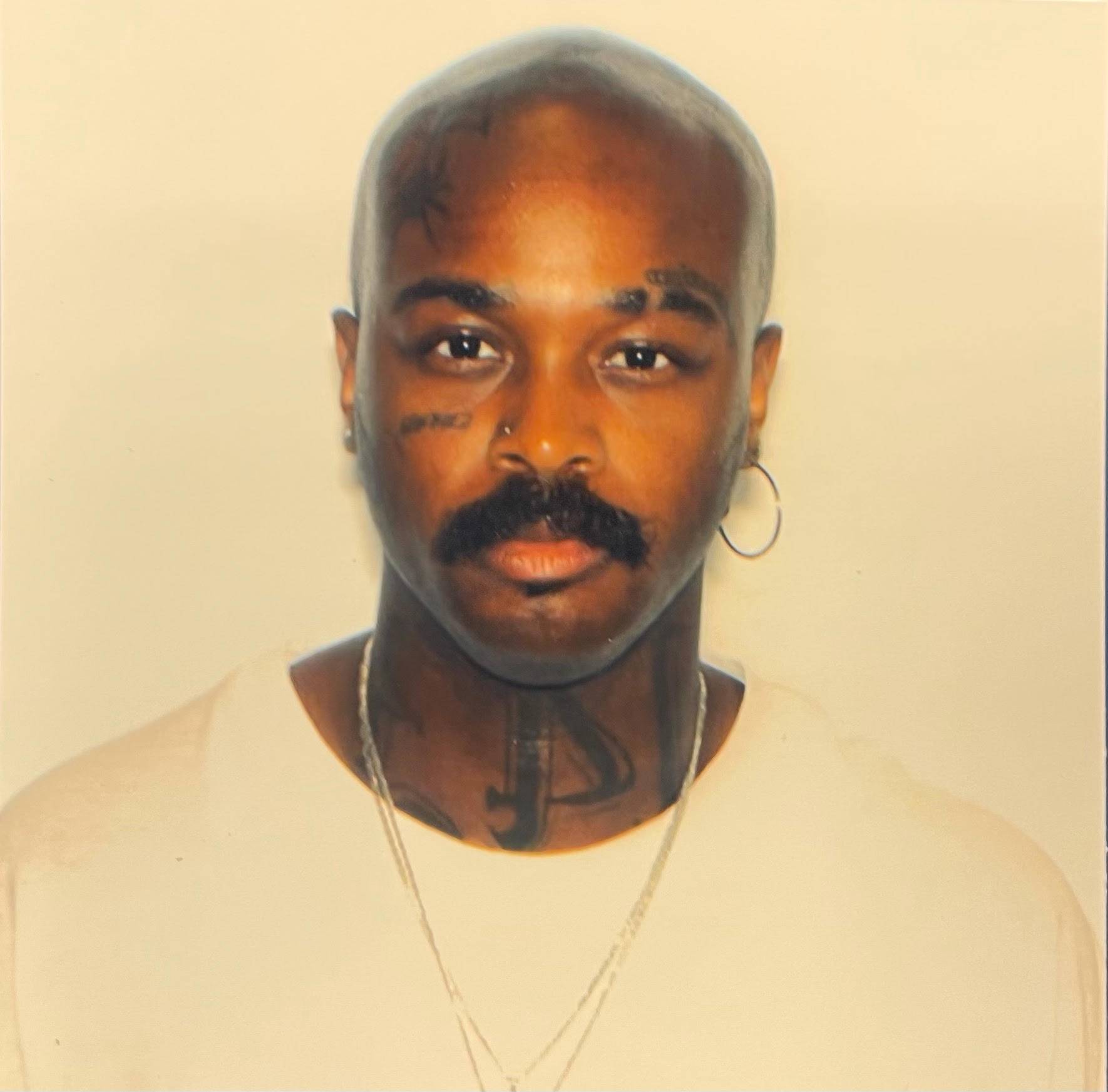 Image of Draco